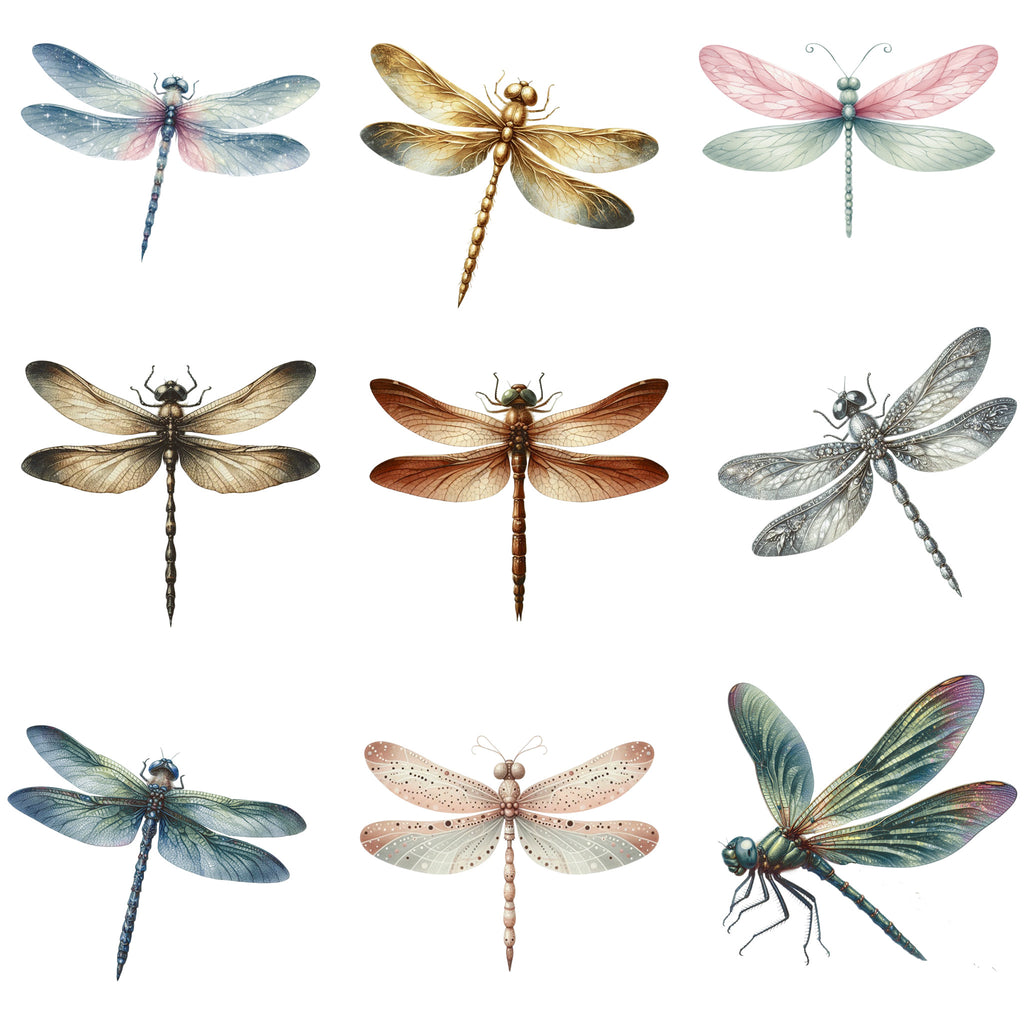 Dragonflies Set 1 Inglaze Ceramic Decals, Food Safe & Dishwasher Safe, Cone 04-6