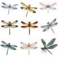 Dragonflies Set 1 Inglaze Ceramic Decals, Food Safe & Dishwasher Safe, Cone 04-6
