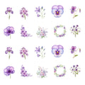 Purple Flowers Inglaze Ceramic Decals, Food Safe & Dishwasher Safe, Cone 04-6